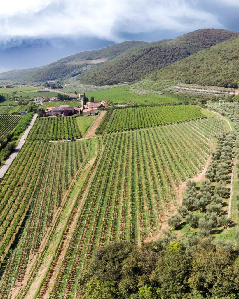 Azienda Agricola Veronese Beatrice.