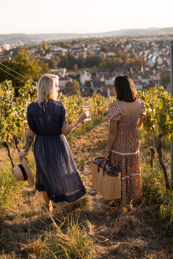 Wine walks through the German vineyards