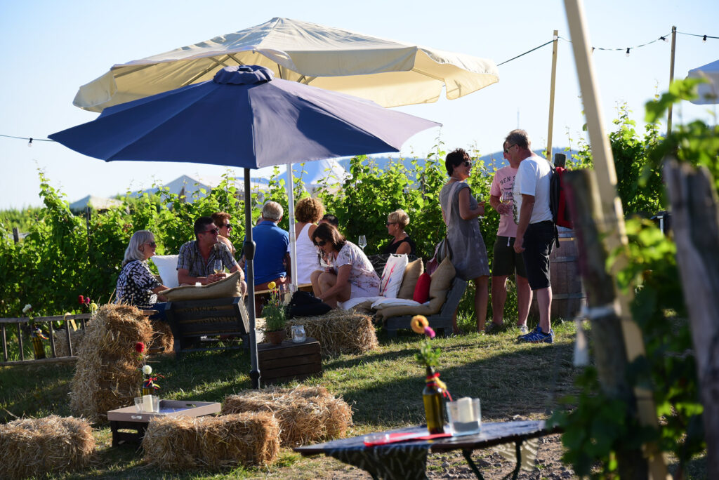 German French Wine Event