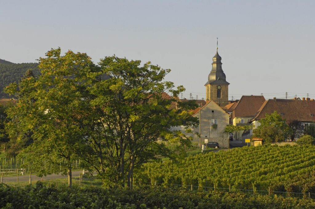 Frankweiler wine festival