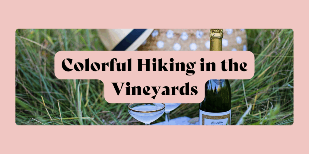Colorful Hiking in the Vineyards of Rheinhessen Tuscany
