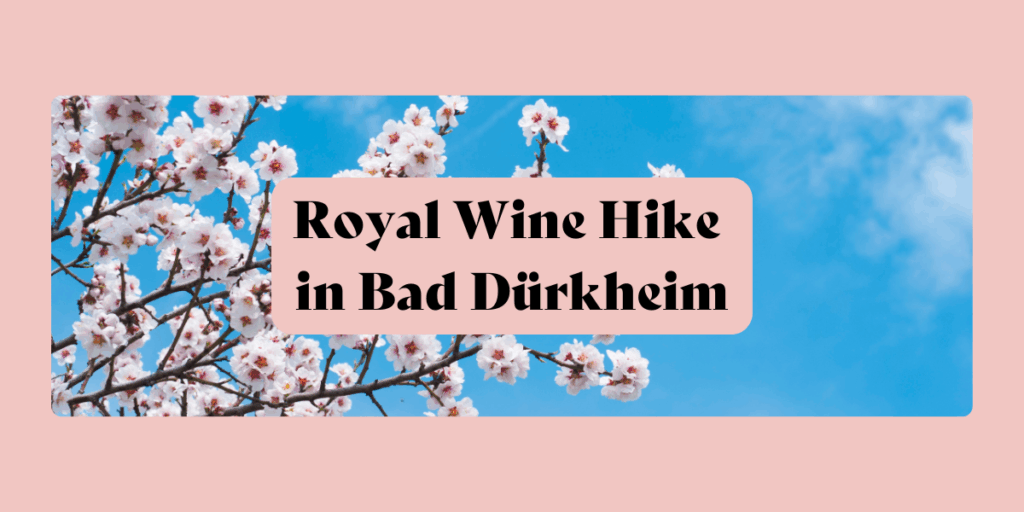 Royal Wine Hike in Bad Dürkheim