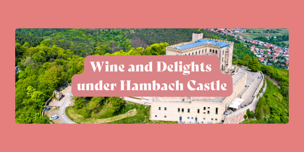 Wine and Delights under Hambach Castle