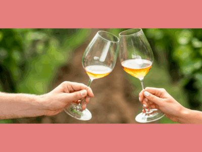 Schloss Janson May Tasting