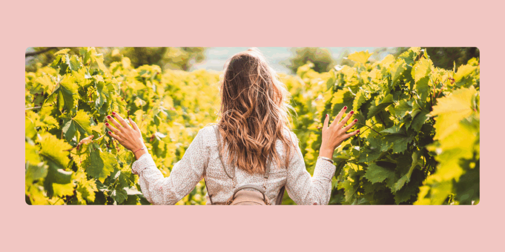 Dubbeglas Hike Wolfstein: A Wine Hike near Kaiserslautern