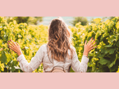 Dubbeglas Hike Wolfstein: A Wine Hike near Kaiserslautern