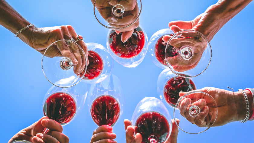 friends drinking glasses of red wine at wine festival germany 2025